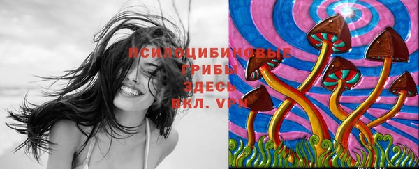 Альфа ПВП Покровск